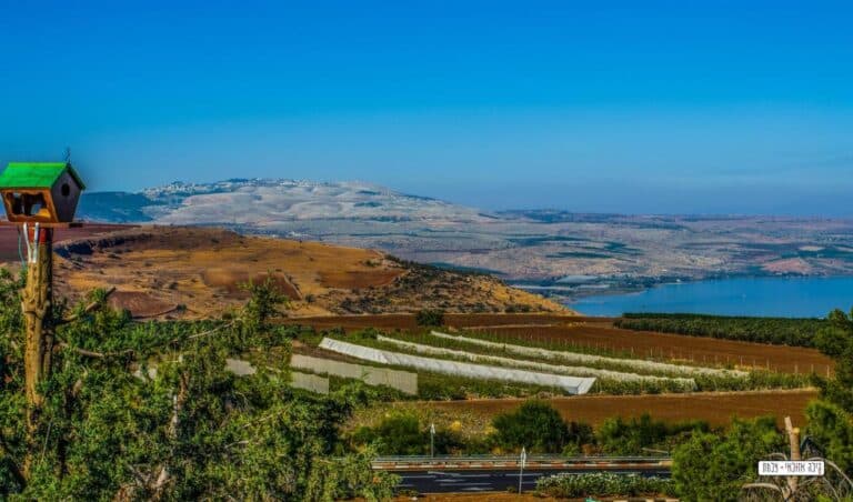 בית כפרי