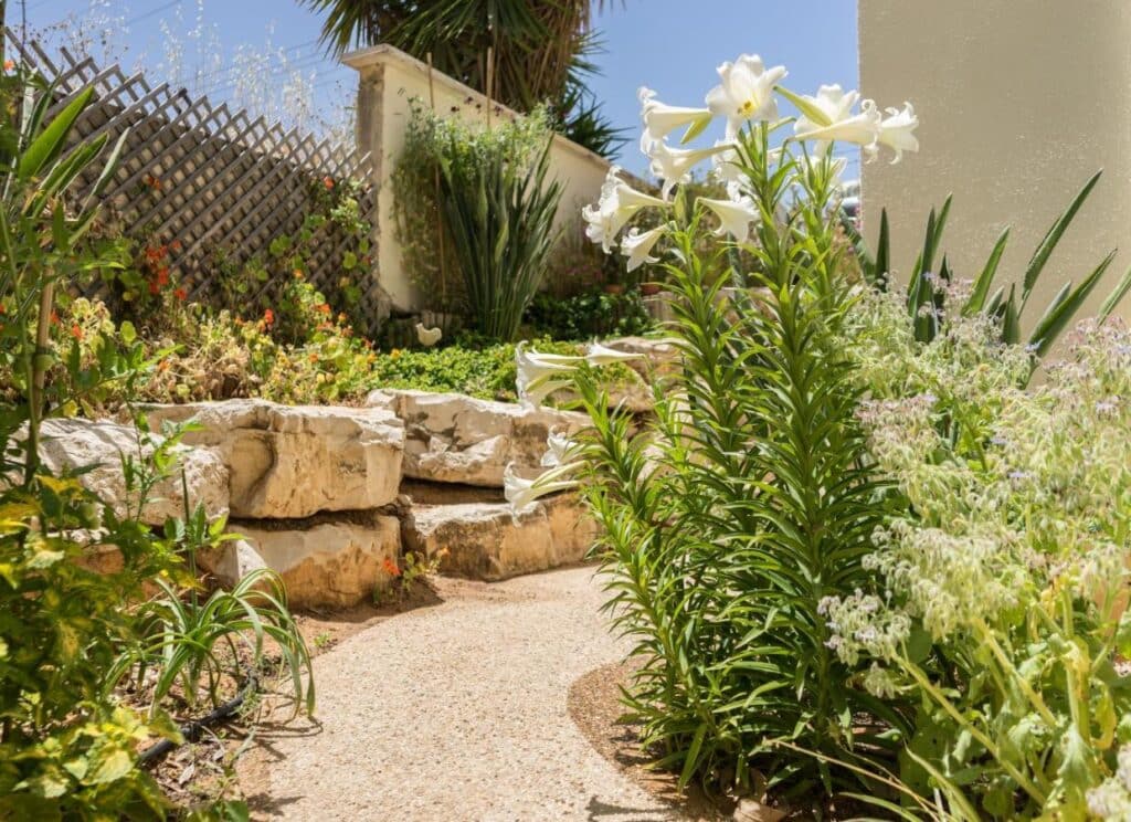 Sharona and Gabi's Place תמונה 2