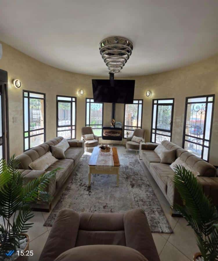 בצל התמר תמונה 5