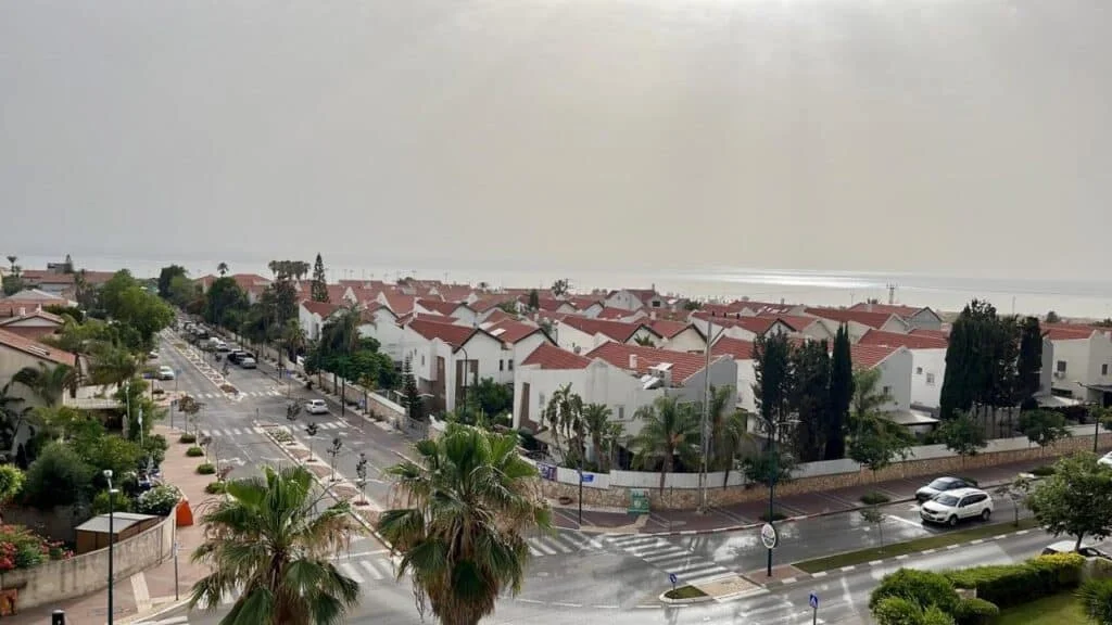 דירת הלילך תמונה 3