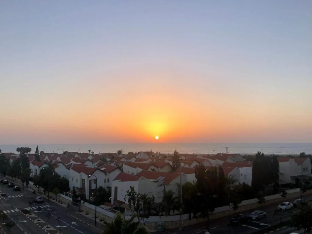 דירת הלילך תמונה 5