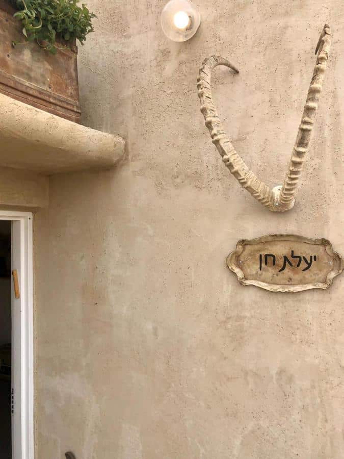 יעלת חן תמונה 2