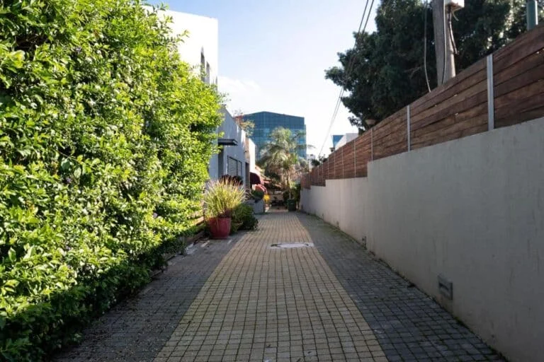 Live at TLV