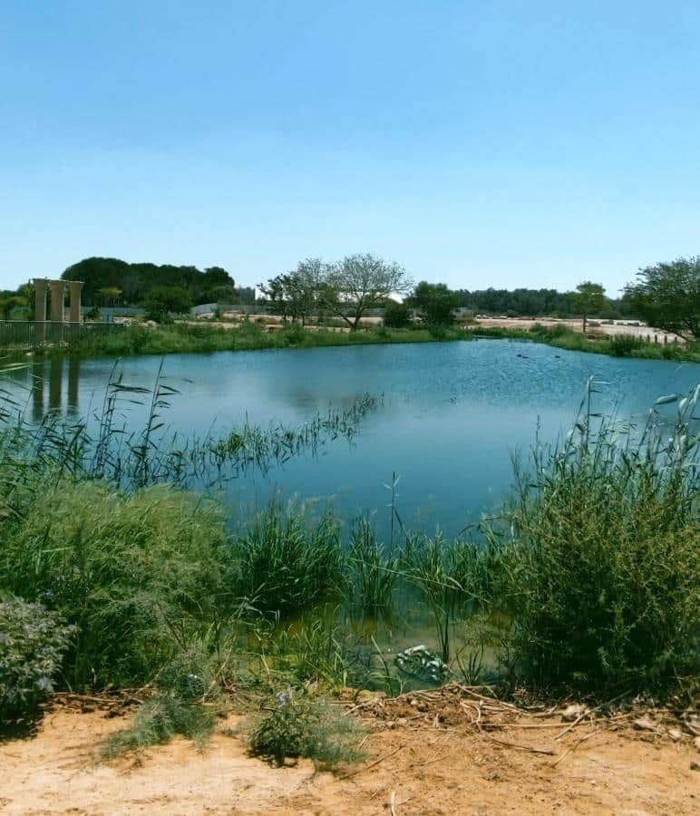 הקומה השניה תמונה 3