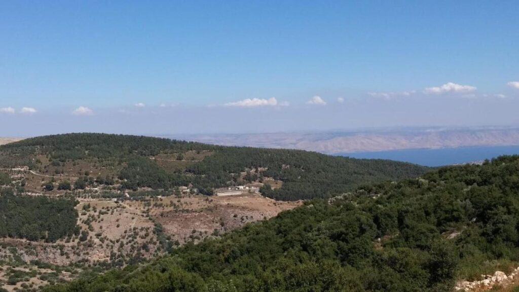 וילת שמאי תמונה 3