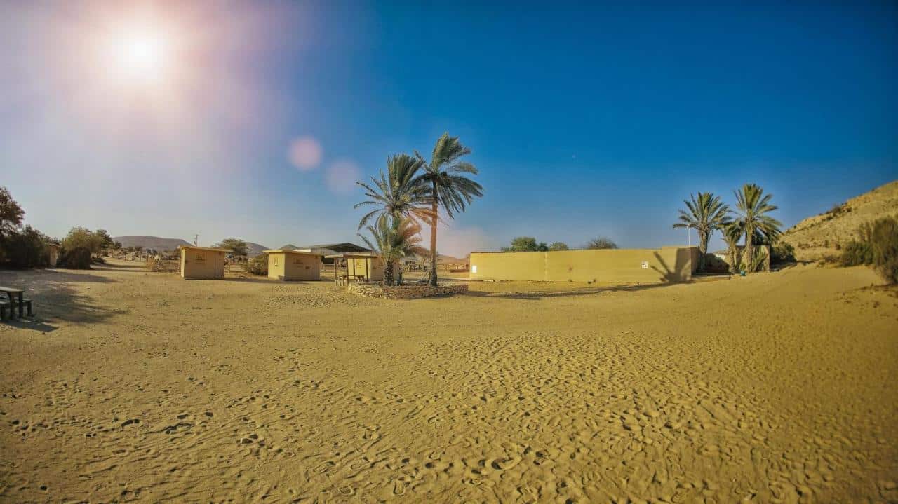 חוות הגמלים בנגב