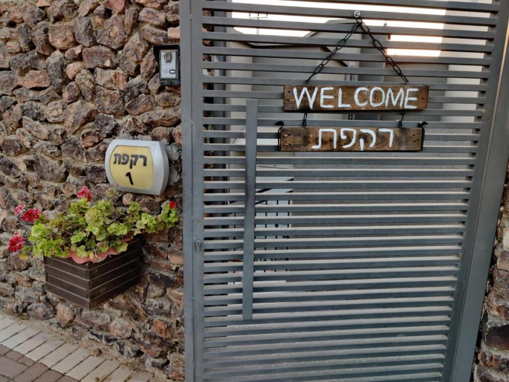 רקפת תמונה 2