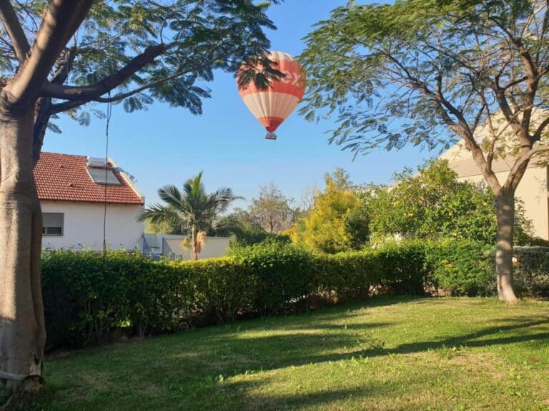 פינה שלווה בטבע