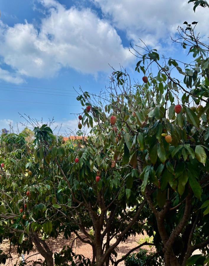 The Orchard Estate תמונה 5