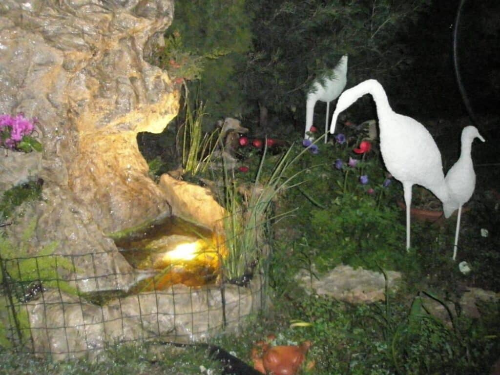 אירוח זמר תמונה 3
