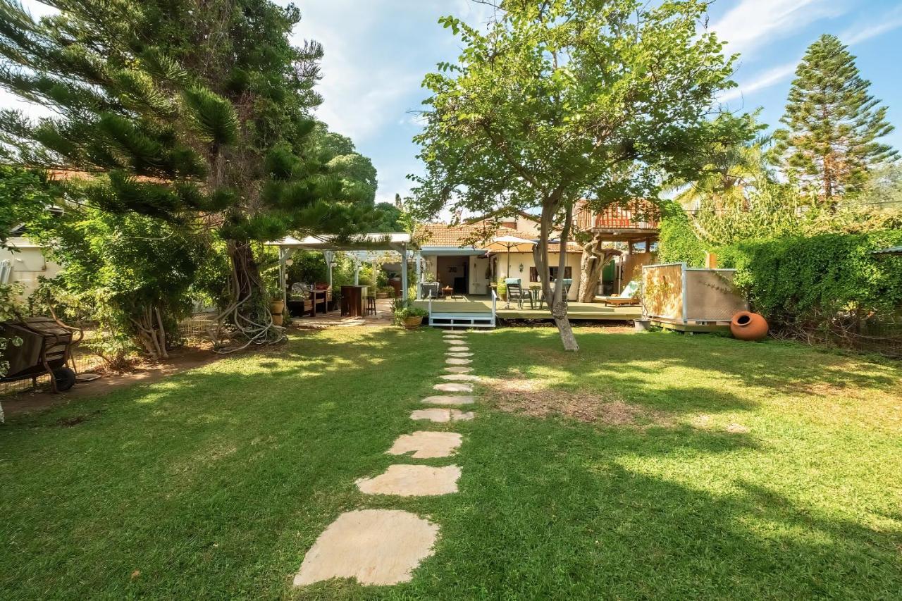 Lush Garden Oasis