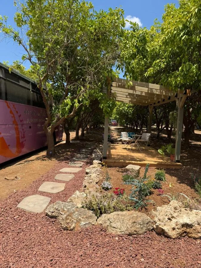 קאמפ דיוויד
